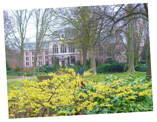 Guided Tours to the Palace Garden in The Hague